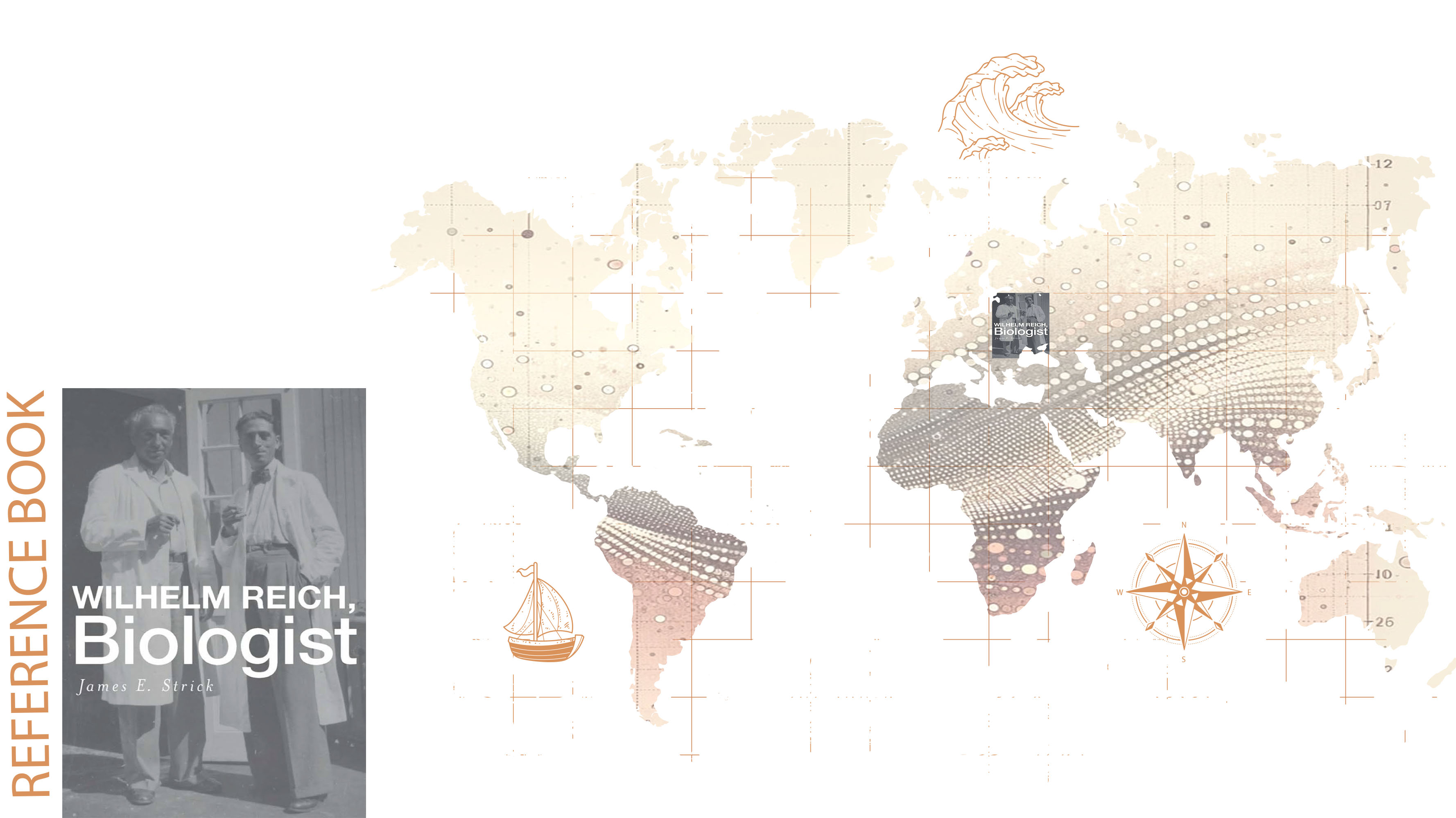 Life Energetics Demo 1